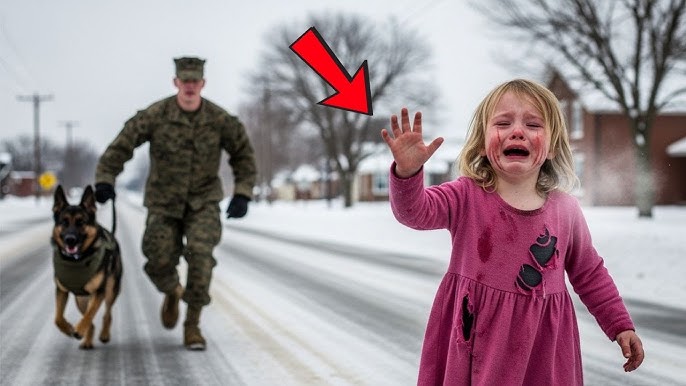 This K9 Dog and Soldier Knew Something Was Wrong… Then a 5-Year-Old Gave a Silent  SOS - YouTube