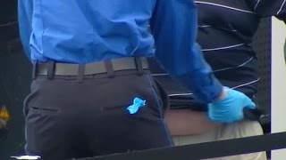 TSA agent reportedly admits to groping passengers