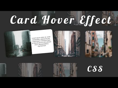 Card Hover Effect | Cool Hovering Effect | Pure CSS | HTML | Techy Programmers