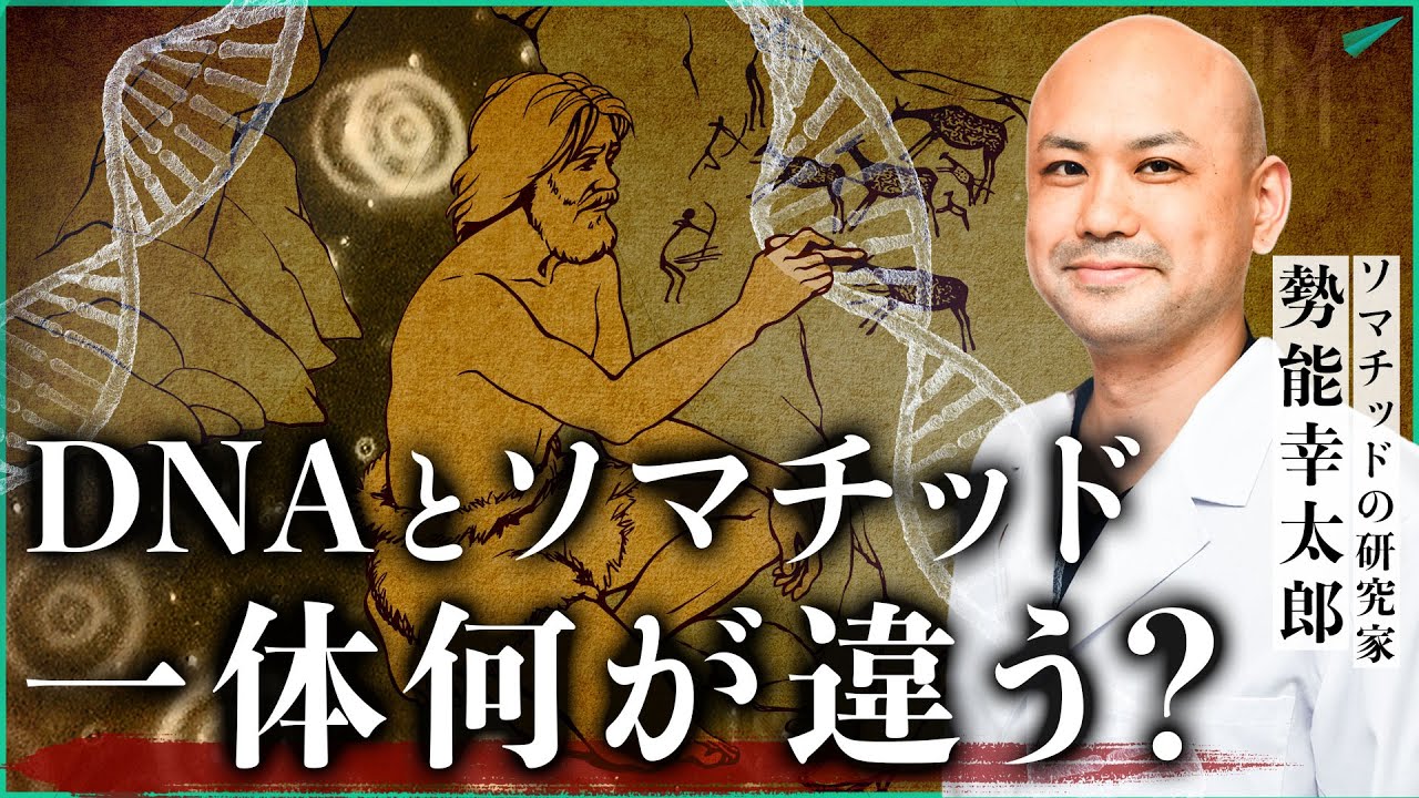 【DNAとソマチッド】一体何が違うのか？生命の謎に迫る｜小田真嘉×勢能幸太郎