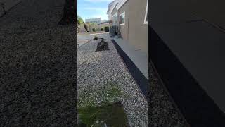 DIY Hardscaping: Build BETTER & CHEAPER!