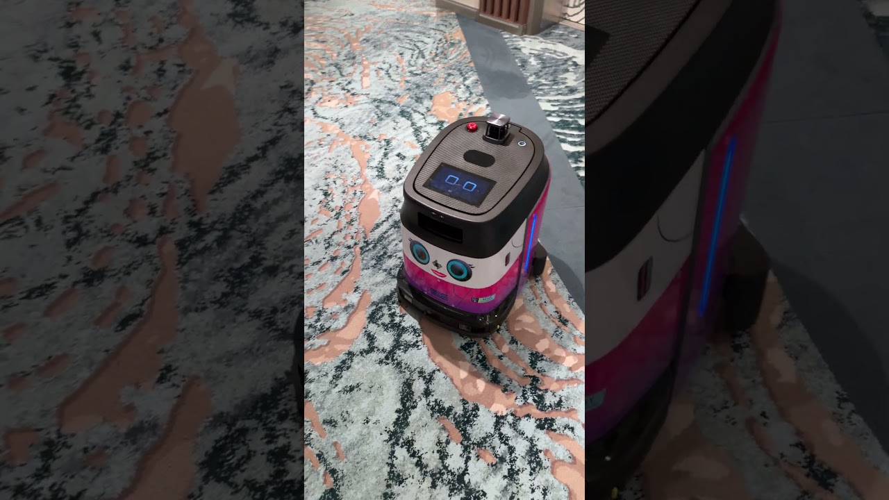 The Robot on The Star Of The Seas Cruise Ship is very hardworking  #4k