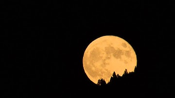 Full Moon passing behind trees (Cropped Time Lapse)
