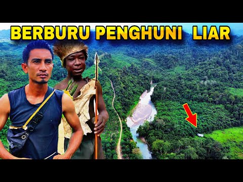1 HARI MENELUSURI JEJAK PENGHUNI LIAR, MASAK HASIL DI HUTAN, SPESIAL BERSAMA TARZAN HUTAN AFRIKA ❗