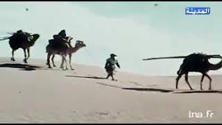 فضيلة الشيخ محمد محفوظ محمد الأمين |قناة المدينة