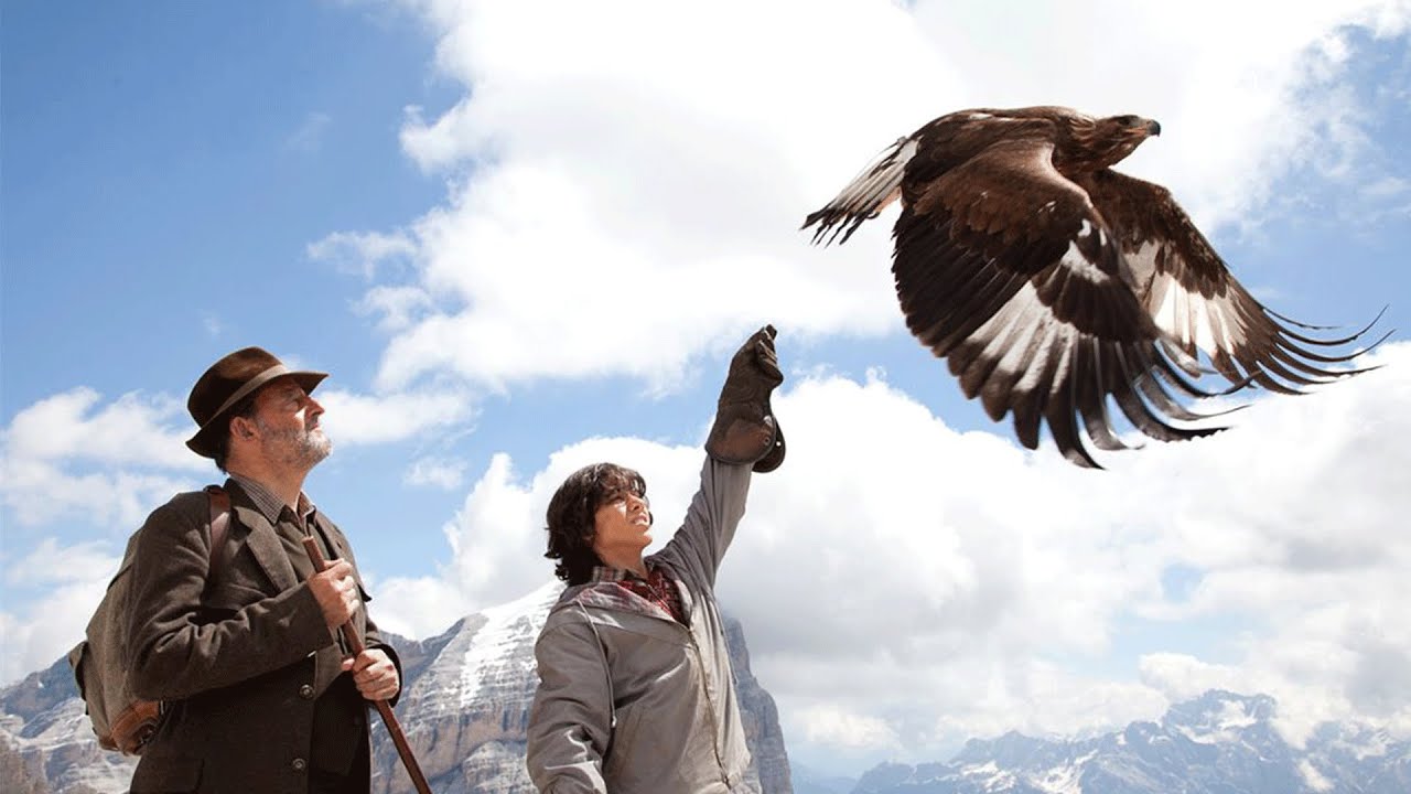 雏鹰坠落悬崖被家族抛弃，被小男孩收养后，最终成为了一代鹰王，21分钟看完2001年冒险剧情电影《追鹰日记》