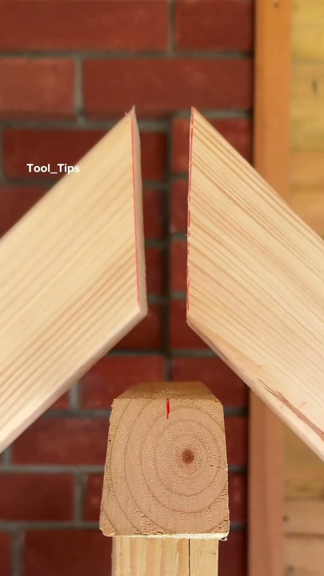 The Carpenter Tip and Gardener Tip ?