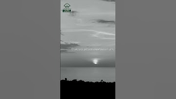 سورة العصر • مكية • بصوت ماهر المعيقلي | عدد الآيات: 3 #قرآن #Quran #تلاوة #قرآن_كريم #العصر
