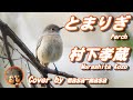 村下孝蔵/とまりぎ (ギター弾き語りカバー by masa-masa) ☆フル/コード/歌詞/Lyrics