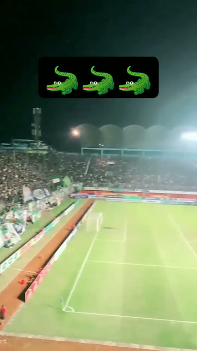 WANI #persebaya #1927 #bonek #wani #greenforce