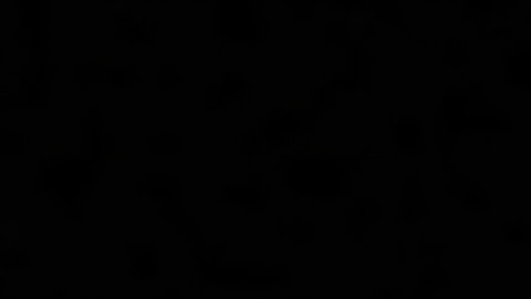 GROUP 5 "The Oscillating Universe Theory"