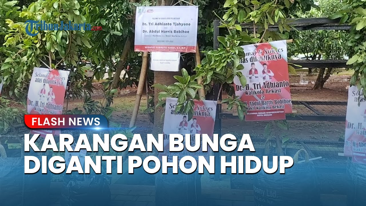 Karangan Bunga Diganti Pohon Hidup Jadi Tren Baru Sambut Pelantikan Wali Kota Bekasi