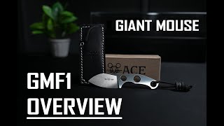 Giant Mouse GMF1 Overview and Unboxing