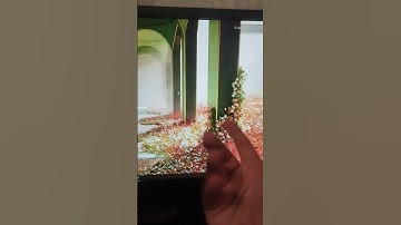 Resolve Your Wise Trading Address Issue for LTD & LLC | (PART 1 OF 4)