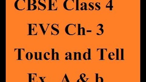CBSE Class 4  EVS Ch- 3  Touch and Tell Ex A b! Career News Academy