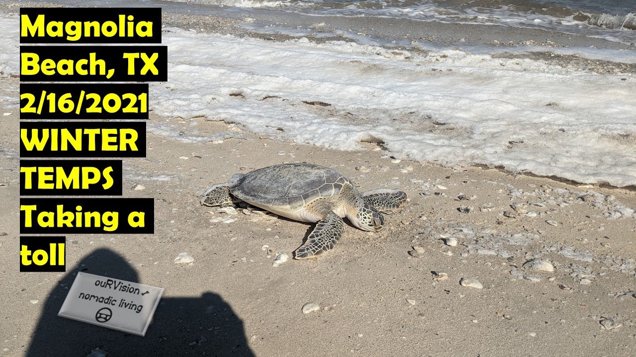 Texas hit with Arctic Weather Magnolia Beach Texas YouTube