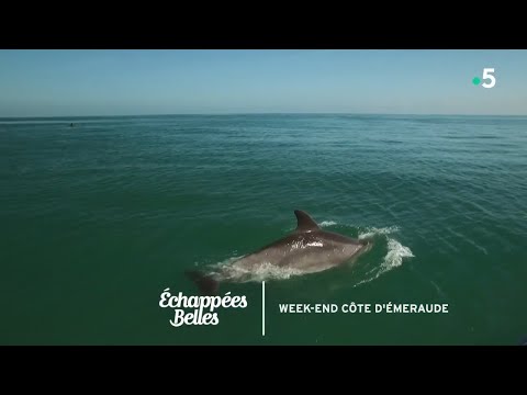 Vidéo: Île D'émeraude