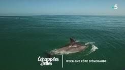 Week-end sur la Côte d'Emeraude - Échappées belles