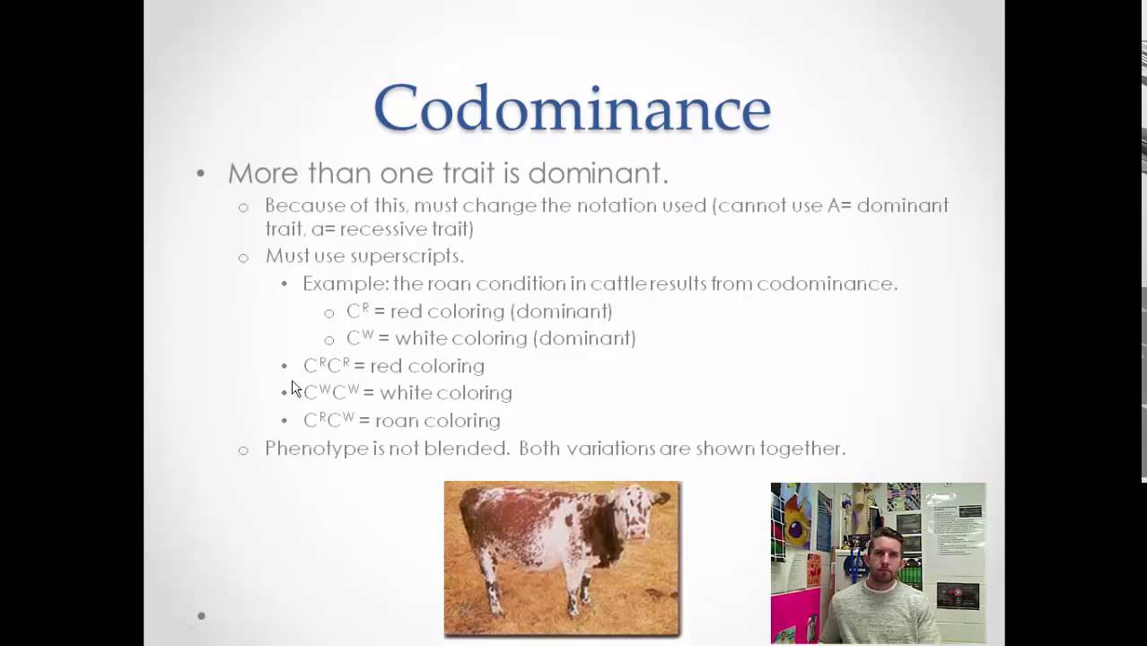 Exceptions To Mendelian Genetics YouTube Exceptions To Mendelian Genetics YouTube