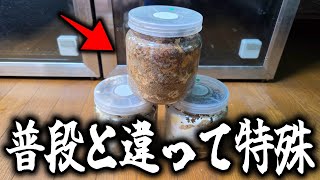 放置した菌糸ビンにメスを投入して更に放置すると？
