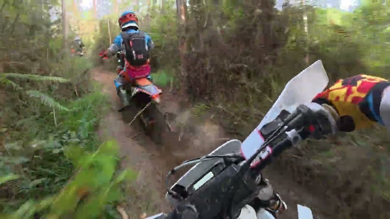 POV: Meringrades 2025 Primera vuelta