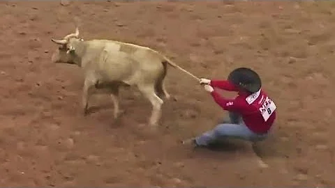 Ty Erickson   Steer by the tail