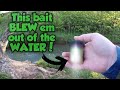 A New TROUT WORM You HAVE to Try!! | It BLEW my MIND!