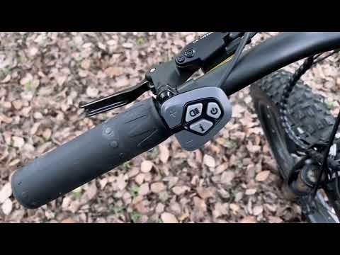 Steamoon fat tire
