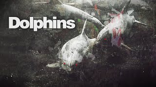 ORENOB - Dolphins screenshot 3