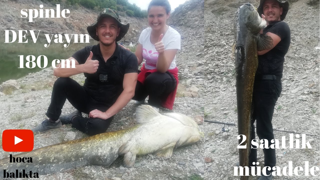 ailecek dev gibi yayın balığı avladık #vibrasyonyemleyayınavı (0.40 lider 0.12 bedenle 180 cm yayın)