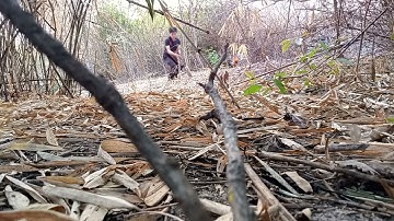 Dib Qaib Qus Tuaj Zoo Heev....13-02-2022 (Lom Zem Kawg)