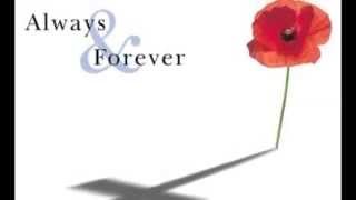 Details remembrance day 2014  November the 9th never forget all the soldiers who died for our freedom Guide