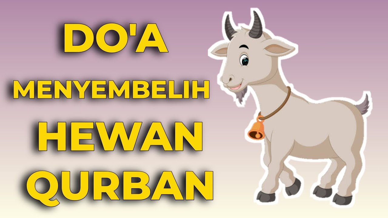 URUTAN DOA MENYEMBEL1H HEWAN KURBAN - YouTube