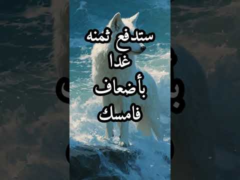 الزمن لا ينتظر أحد ا اقتباسات حكمة اليوم كلام من ذهب دروس الزمان