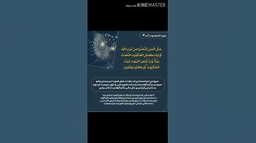 سورة العنكبوت آیة 41