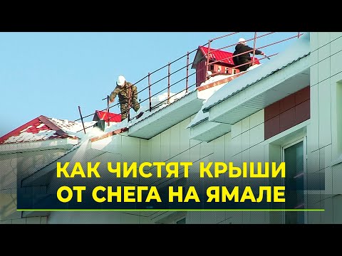 Как чистят крыши от снега в столице Ямала. Работа промышленных альпинистов