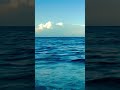 Dreamy Sky☁️Blue Ocean Waves🌊 &amp; Relaxing Beach Sounds = Perfection 🏝️🌊💙 #oceanwaves #beach #sea