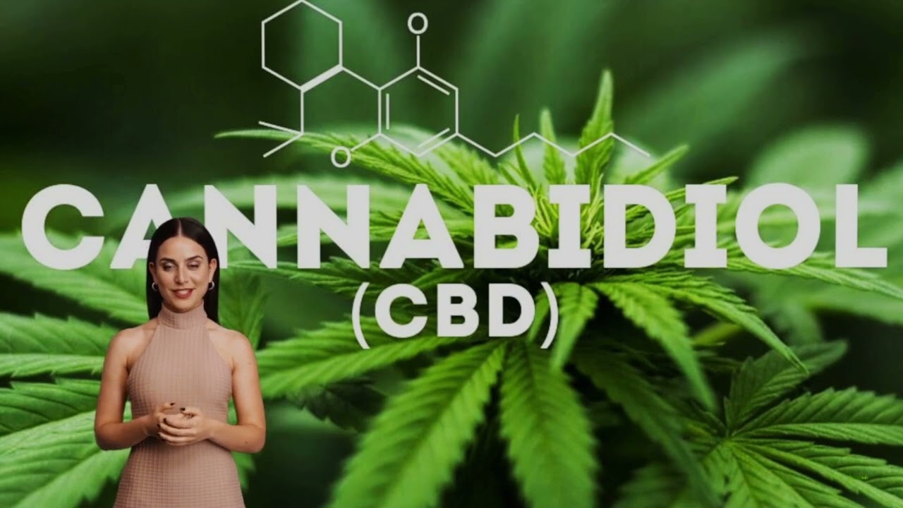 Livraison de CBD à Lens - La Verte Feuille