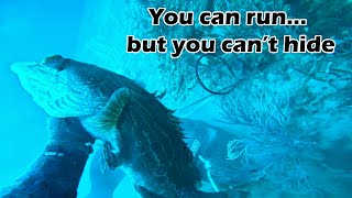 Full Dive Sunday? Did you see him?