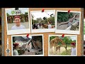 Baby Giraffe! New Komodo Dragon! Toronto Zoo Tour 2026