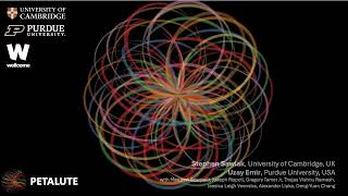 PETALUTE: #ISMRM Applications of the Modified Rosette for FAST-Flexible MR(S)I #mri Radial Spiral