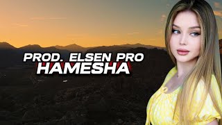 Elsen Pro - Hamesha