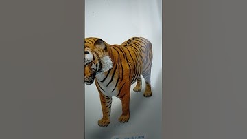 Thumbnail of Tiger 261 🐅
