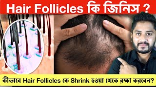 Hair Follicles কি জিনিস? How To Protect Hair Follicles From Shrinking? screenshot 2