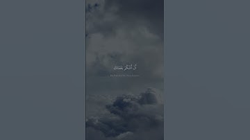 فَتَبَسَّمَ ضَاحِكࣰا مِّن قَوۡلِهَا   محمد صديق المنشاوي   سورة النمل {١٩}   نهاوند #اسلام #المنشاوي