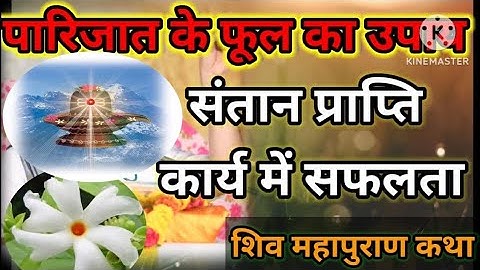 #पंचपुष्प शिव महापुराण कथा#पारिजात के फूल का अचुक उपाय संतान प्राप्ति के लिए pandit Pardeep mishra