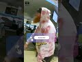 Airport Drunk Karen Went Insane When He Was Denied Boarding #karenarrested