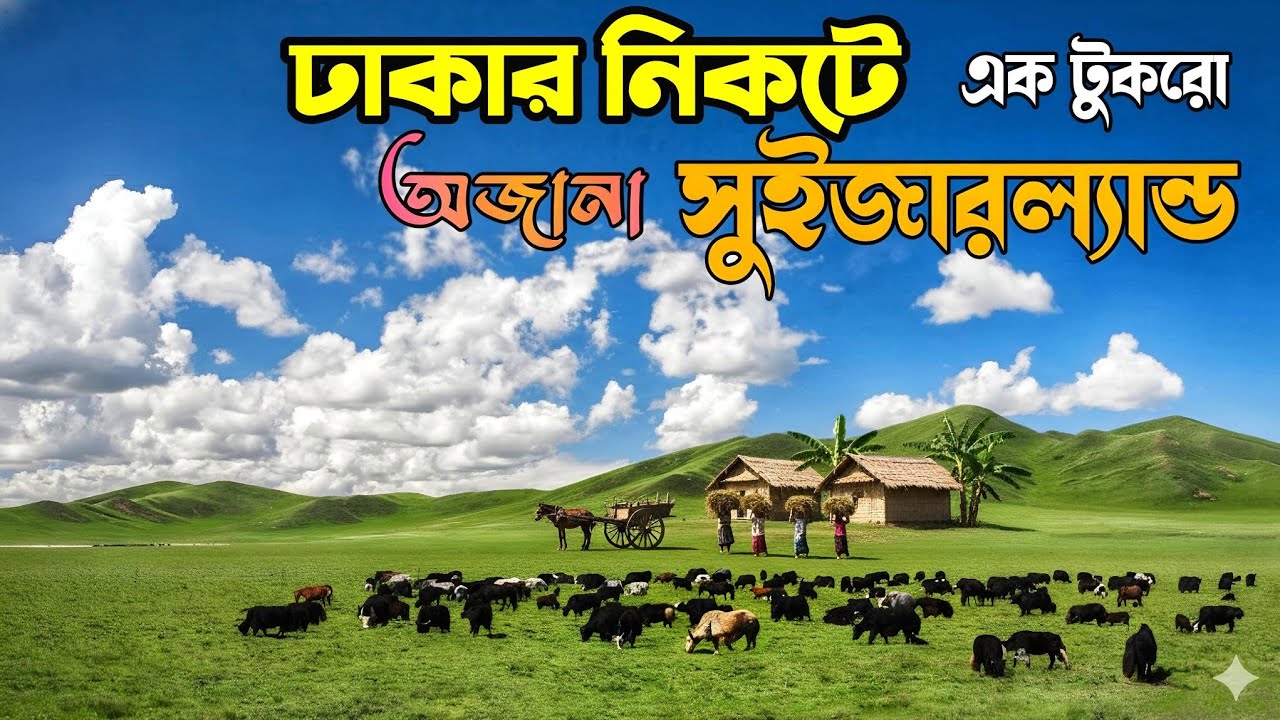 কি কারণে নন্দনালপুর ঢাকার নিকটের স্বর্গ...? Nandanulpur || Most VillageLife & RuralLife Near Dhaka