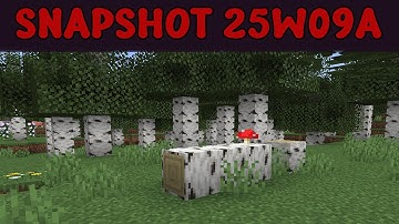 Minecraft Snapshot 25w09a - Fallen Trees, Leaf Litter Changes & More!