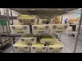 What to know ahead of June Primary as over 2 million ballots are sent to San Diego County voters
